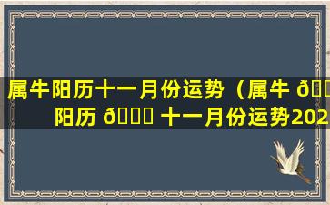 属牛阳历十一月份运势（属牛 🐵 阳历 🐞 十一月份运势2023年）